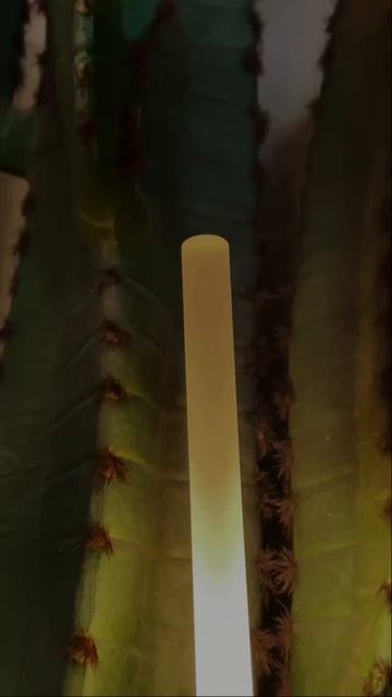 Грунтовый светильник ARTE Lamp MUSTER смотреть онлайн