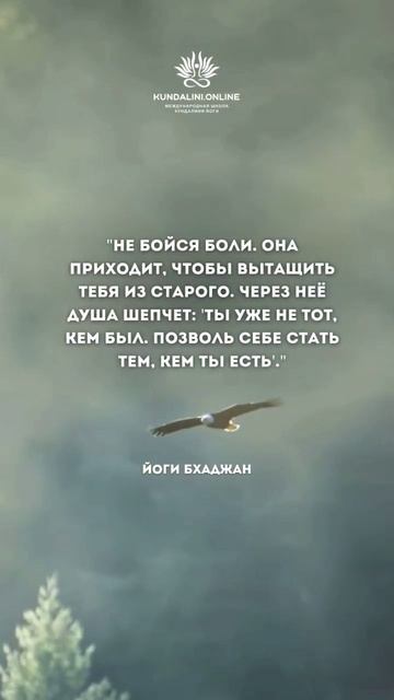 #мудрость Йоги Бхаджана смотреть онлайн