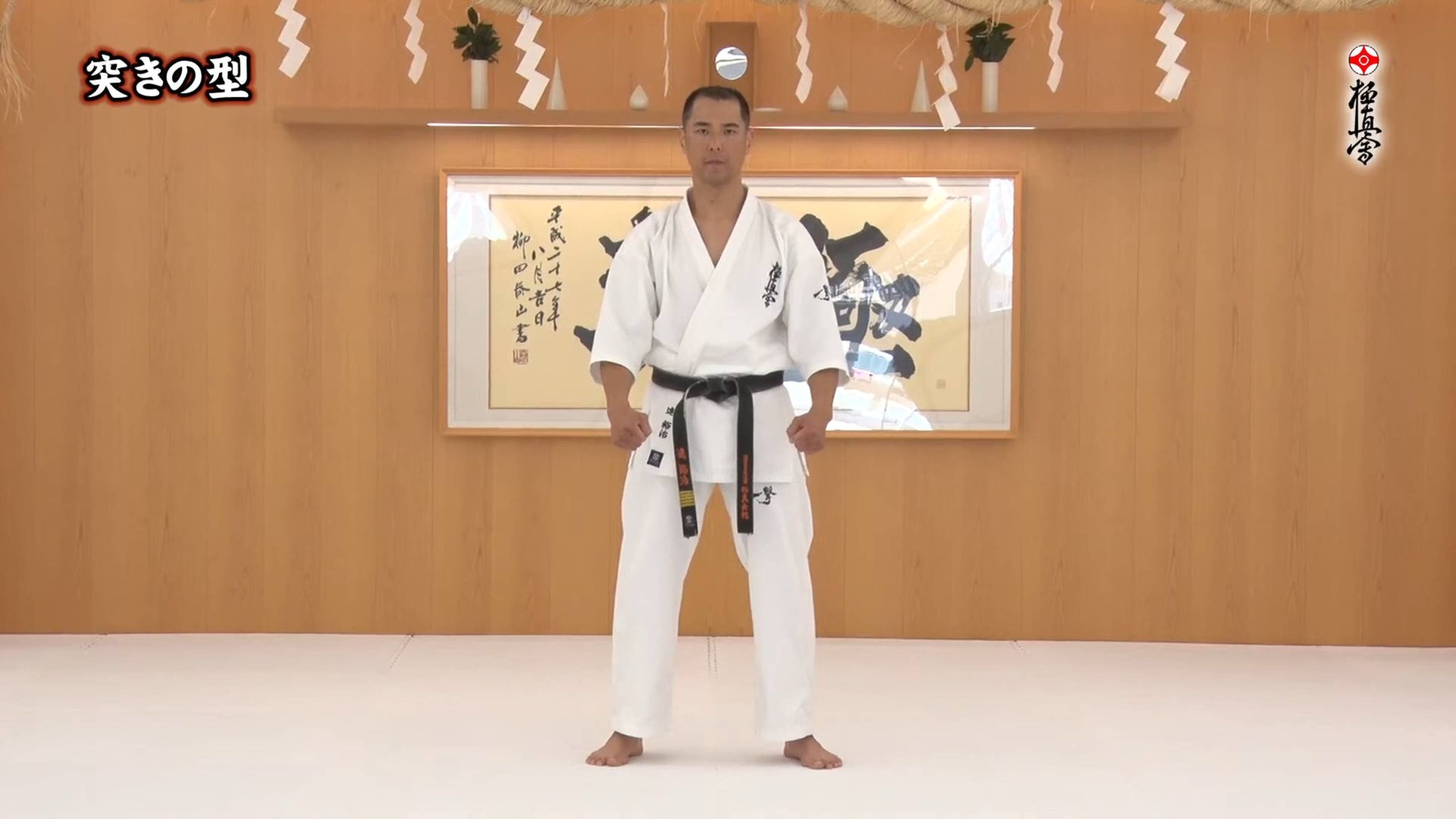 Цуки но ката - Ката Карате Кёкусинкай (Tsuki no Kata - 突きの型)v.3 смотреть онлайн