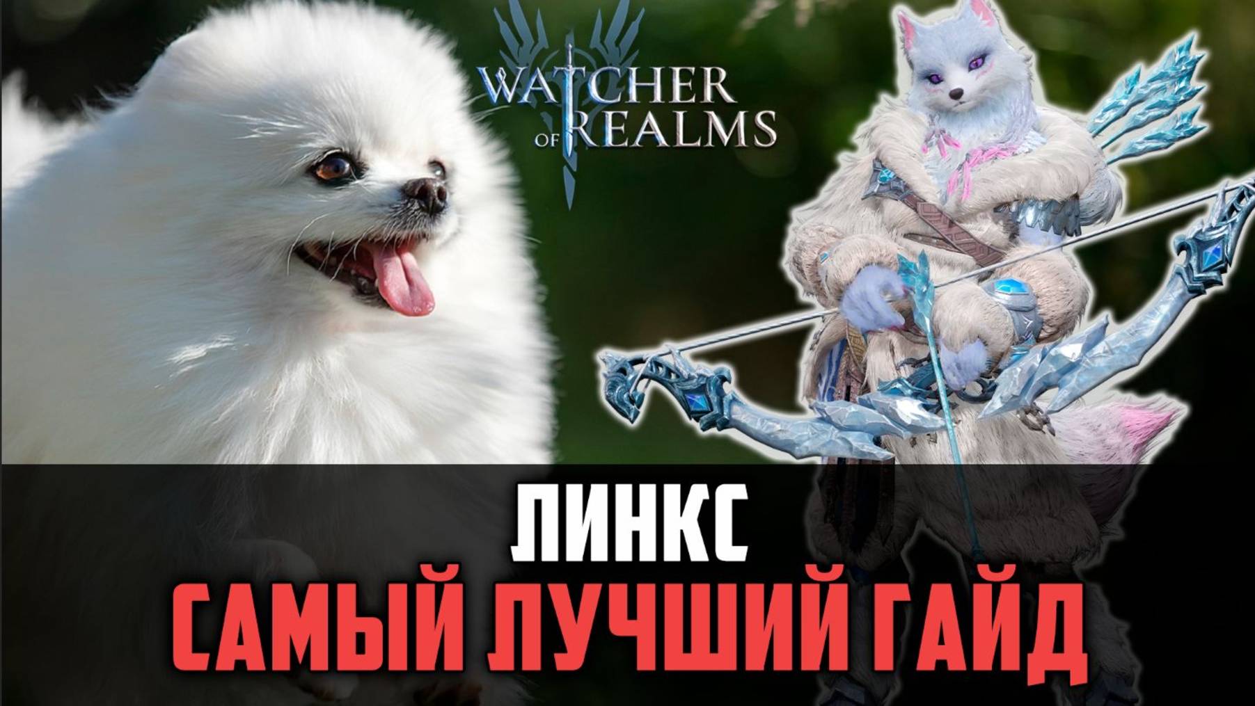 ЛИНКС МОРОЗИТ КРУЧЕ ВСЕХ! Но, есть нюанс :) #watcherofrealms #Kaneevent смотреть онлайн