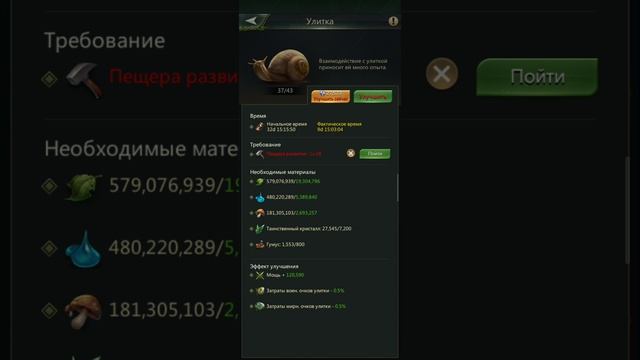 Ант легион. Подготовка королевы к 40му.