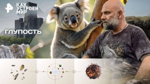 Глупость — Как устроен мир с Тимофеем Баженовым (30.09.2025)