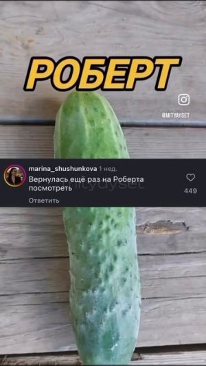 Огурцы по именам