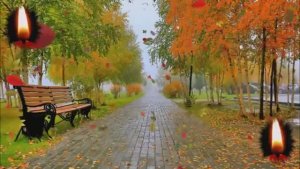 СЕРГЕЙ ЧЕКАЛИН - ГОРИТ СВЕЧА... - КРАСИВАЯ ОСЕННЯЯ ПЕСНЯ ДЛЯ ВАС! 🍁🕯️🍁