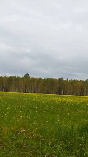 ПОЛЕ смотреть онлайн