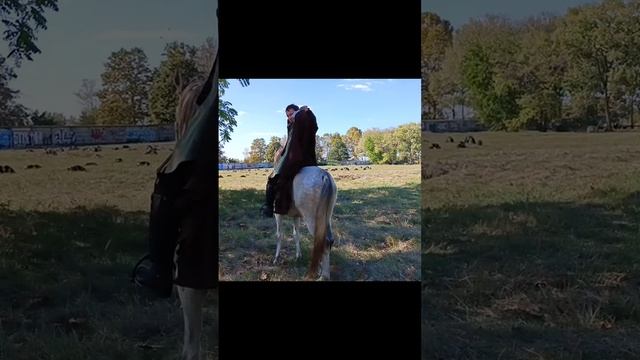 Берлиоз постановка