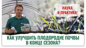 Как подготовить почву осенью к следующему сезону? Эксперт Дмитрий Скотников