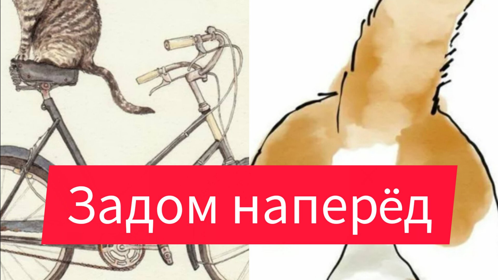 Задом наперёд. смотреть онлайн