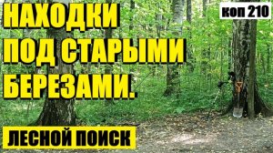 КАК Я ПЯТИАЛТЫННЫЙ НАШЕЛ. коп 210