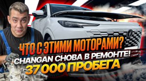 Мотор Changan умер на 37 000 км! ШОК