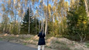 Участки с собственным лесом 💚