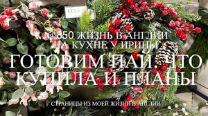 Готовим английский пай. Мои покупки и планы. Люси в панике. № 850 Жизнь в Англии