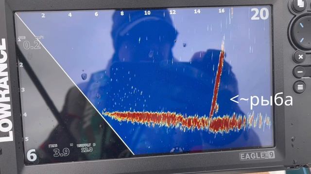 Lawrence eagle eye смотреть онлайн