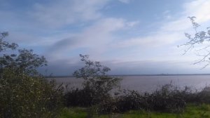 VID_20251001_083027.mp4