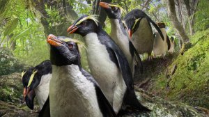 Сериал Наша планета — 2 сезон 1 серия / Our Planet