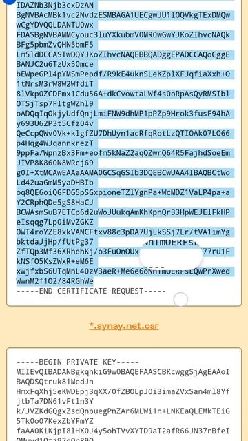 Генерация и проверка запроса на SSL сертификат