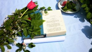 "Письмо к сестре", С.А. Есенин.