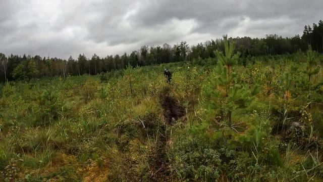 Country Cross. Класс серебро. Суровый осенний слёт. Псковская область 2025. смотреть онлайн