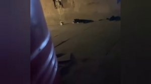 Юмор,приколы,испуг45