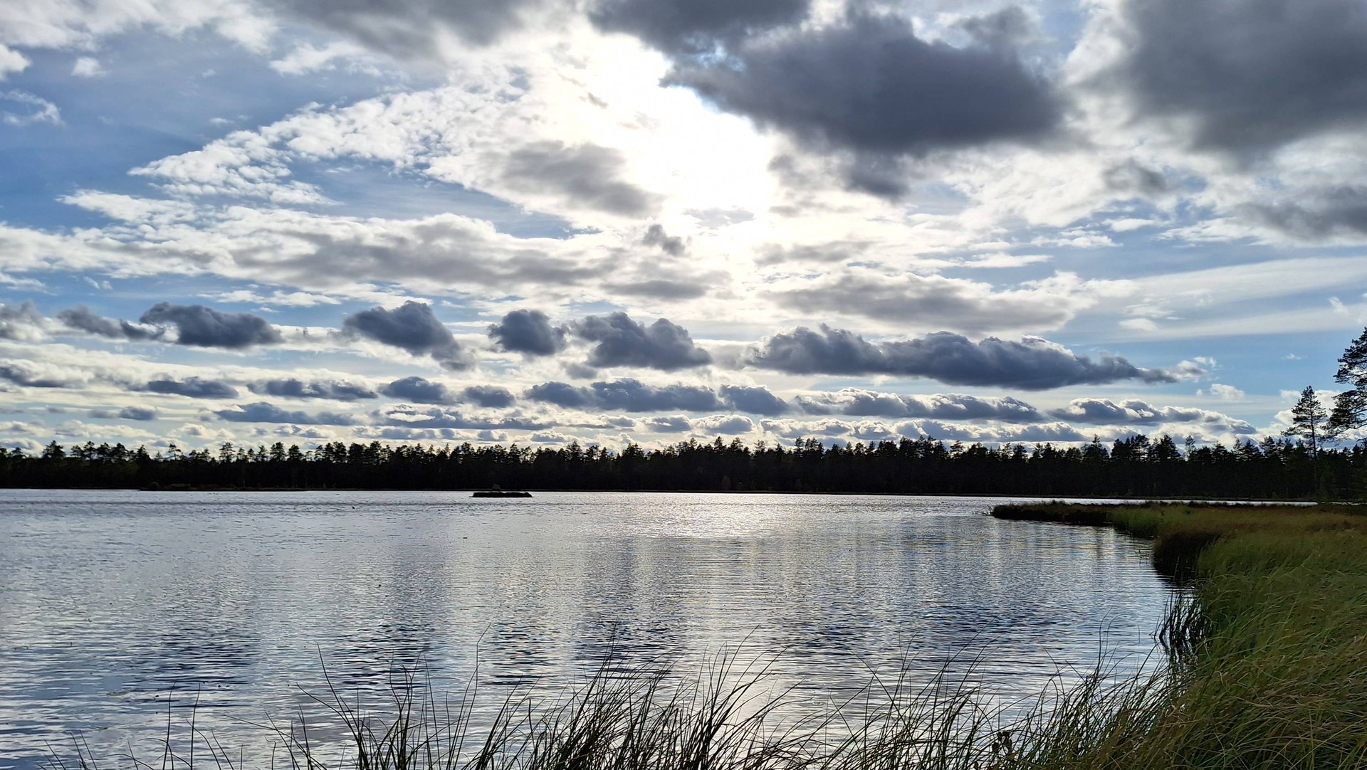 Ширское озеро! Поход в 20км. Щука. Грибы. смотреть онлайн