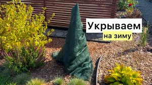 Как укрыть на зиму хвойные, гортензии, а также молодые черенки наших растений!