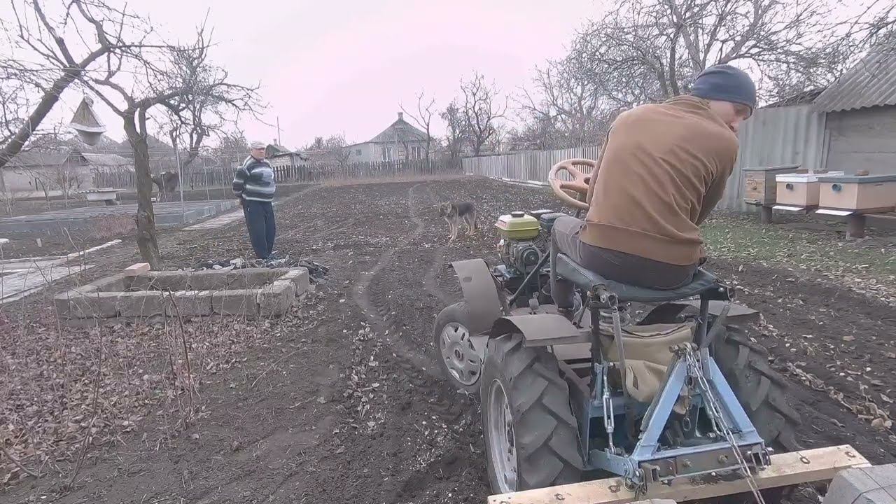 Весенние работы пчеловода" сею фацелию"