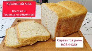 ИДЕАЛЬНЫЙ Домашний Хлеб в Хлебопечке! Простой Рецепт для Начинающих 🍞