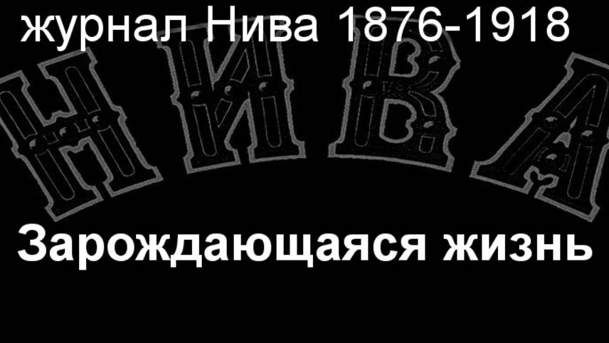 Зарождающаяся жизнь. описание журнал Нива 1876-1918 смотреть онлайн
