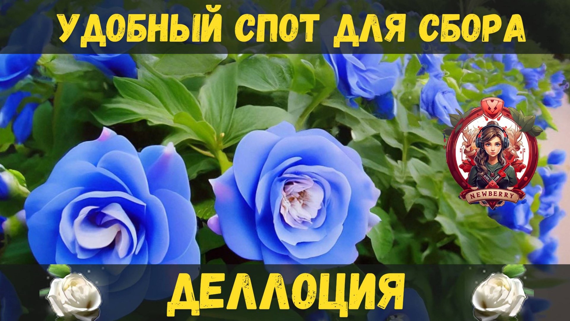 [BDO]🌱ДЕЛЛОЦИЯ / СПОТ ДЛЯ СБОРА В ОДИРАКСИИ / БОЛЬШОЙ КРУГ #delotia смотреть онлайн