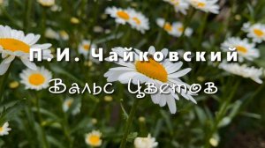 П.И.Чайковский, Вальс ЦВЕТОВ. Музыка для души