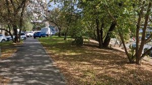 01.10.2025 Маршала Жукова 2. Осень!