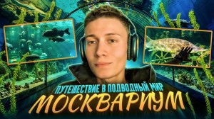 ПУТЕШЕСТВИЕ В ПОДВОДНЫЙ МИР | МОСКВАРИУМ