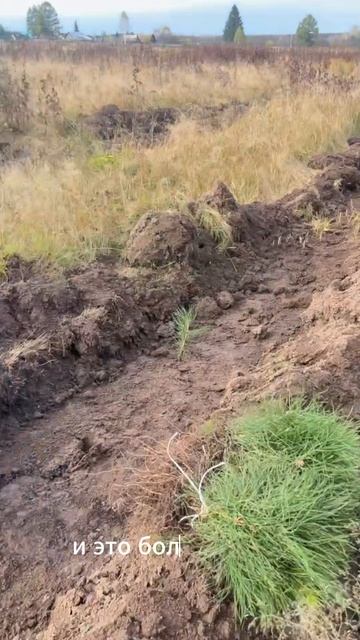 Посадка деревьев с. Урман смотреть онлайн
