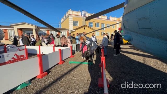 Собаки-поводыри в Музее Вертолётов