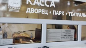 РАБОТА ИЛИ ОТДЫХ? ПОЕЗДКА В ГАТЧИНУ, ГУЛЯЕМ ПО ПАРКУ. Часть 2.