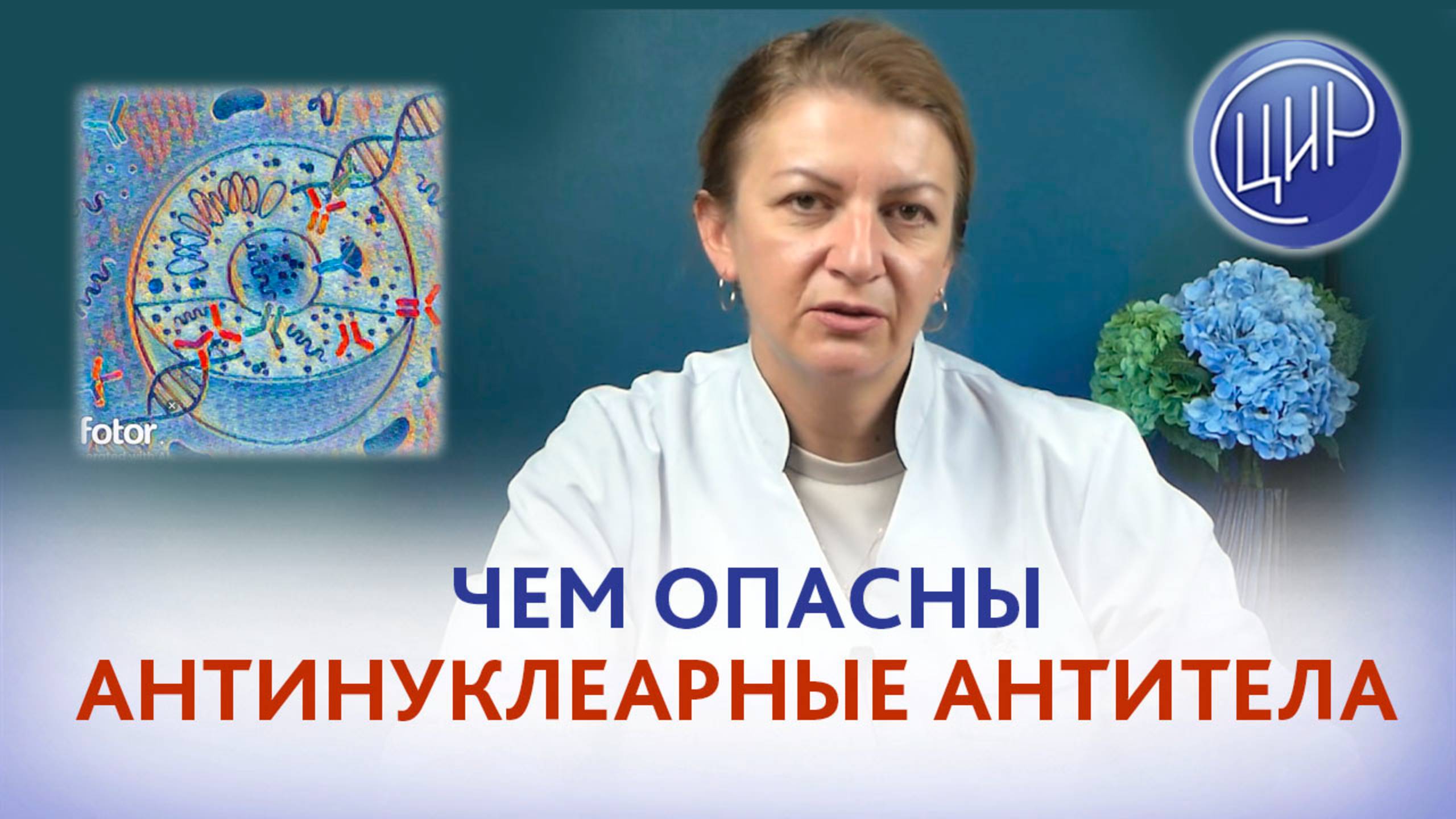 Антинуклеарные антитела что это такое и чем они опасны во время и вне беременности. смотреть онлайн