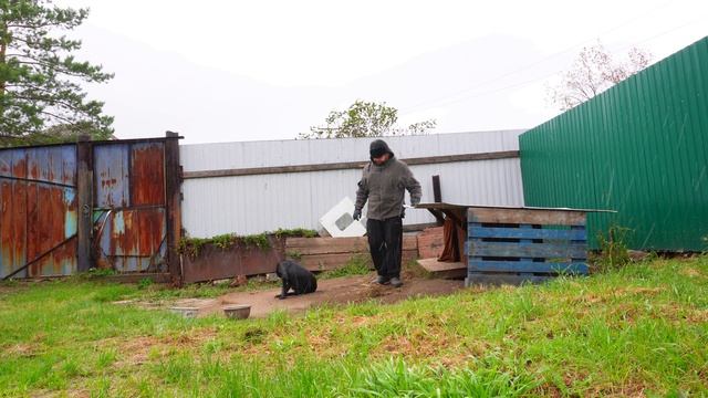 МОЙ ТРУДОЛЕНЬ В СИБИРИ ГОТОВЛЮСЬ К ЗИМЕ УЖЕ В СЕНТЯБРЕ ЛОТАЮ ДЫРУ В ДОМИКЕ смотреть онлайн