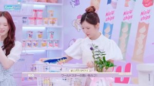 "JYP Family" Бан Чан и Хан из Stray Kids в магазине NiziU