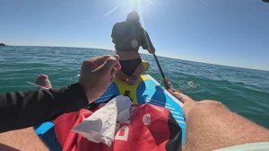 Сапборд. Прогулка и рыбалка. Геленджик. Дивноморское.