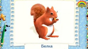 Познавательные видео для малышей. Животные. Родители и детки.