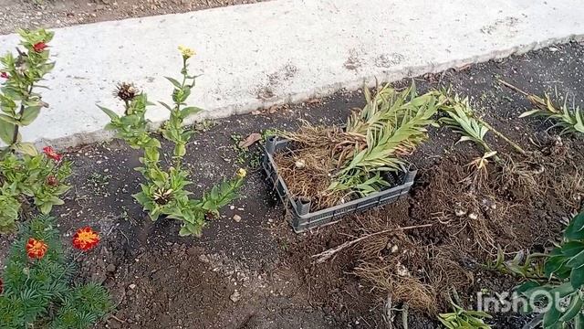 /последний день сентября/хроника одного дня/ смотреть онлайн