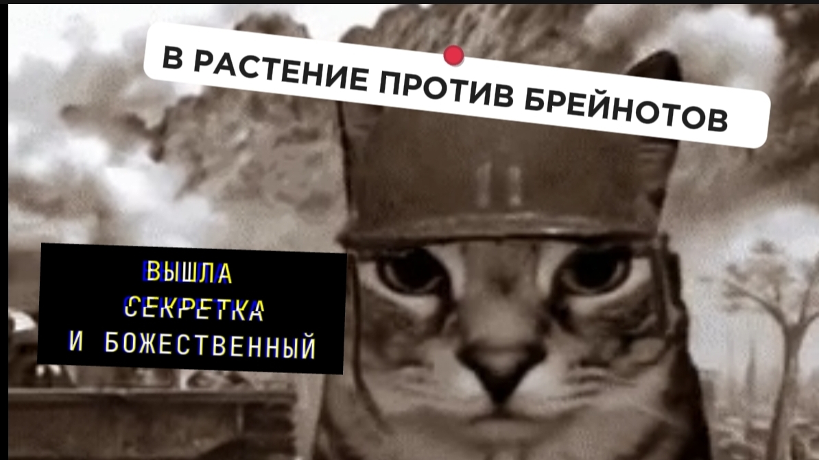 ВЫШЛА СЕКРЕТКА И БОЖЕСТВЕННЫЙ В РАСТЕНИЯ ПРОТИВ БРЕЙНОТОВ смотреть онлайн