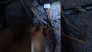 Подключение блока согласования на форд фокус 3 для фаркопа.