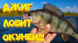 ДЖИГ ловит КРУПНОГО окуня 💪 Осенняя рыбалка с лодки 👍