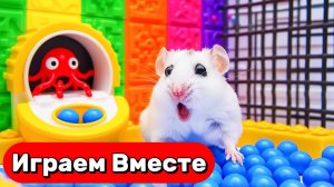 КРУТОЙ ЛАБИРИНТ С ЛОВУШКАМИ И МОНСТРАМИ ДЛЯ УМНОГО ХОМЯКА 🐹 ВИДЕО ПРО ХОМЯКА ДЛЯ ДЕТЕЙ