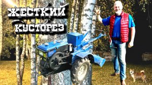 ВЫРЕЗАЮ ФЛОРУ/ ОЖИВЛЯЮ СТАРЫЙ ТЕЛЕВИЗОР I.Z. лив: