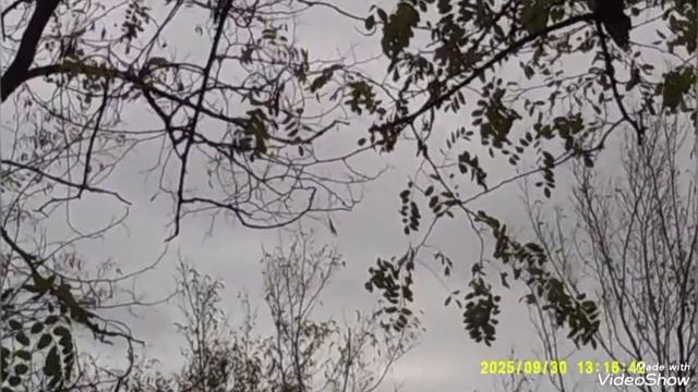 В Мариуполе осень ☁️🍁🍁🍁🏗️🏢 смотреть онлайн