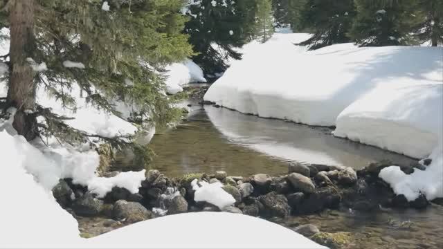 ВЕСНА смотреть онлайн