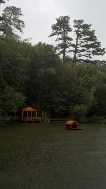 Дождь в Ялтинском заповеднике. смотреть онлайн