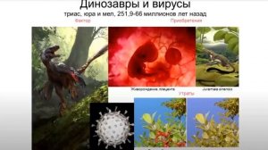 Как все началось. Кто нас создал. Антрополог Станислав Дробышевский